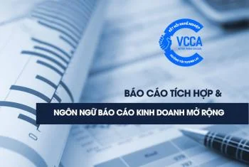 Báo cáo tích hợp và ngôn ngữ báo cáo kinh doanh mở rộng